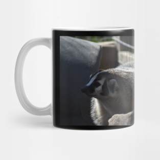 Badger Mug